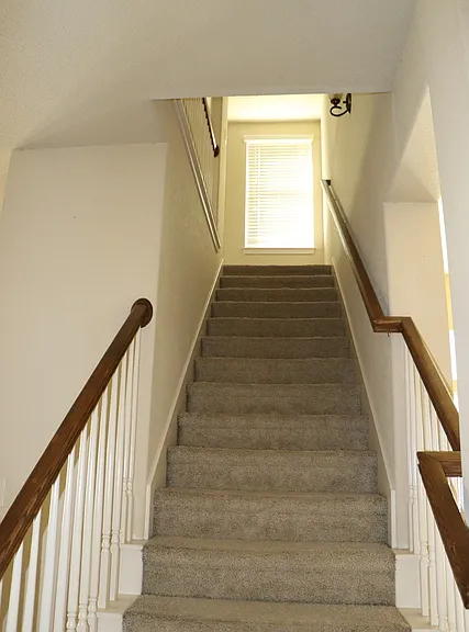 2966 Saddlehorn Dr — Photo 15