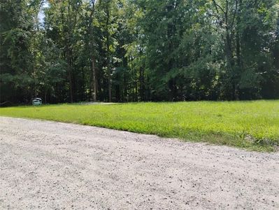 0 Walker Rd TRACT 17 & 18, Madison, GA, 30650