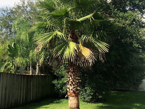 2nd image of 8215 Cypress Breeze Way