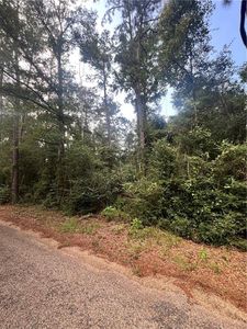 2.70 Bill Simmons Rd, Mount Hermon, LA, 70450
