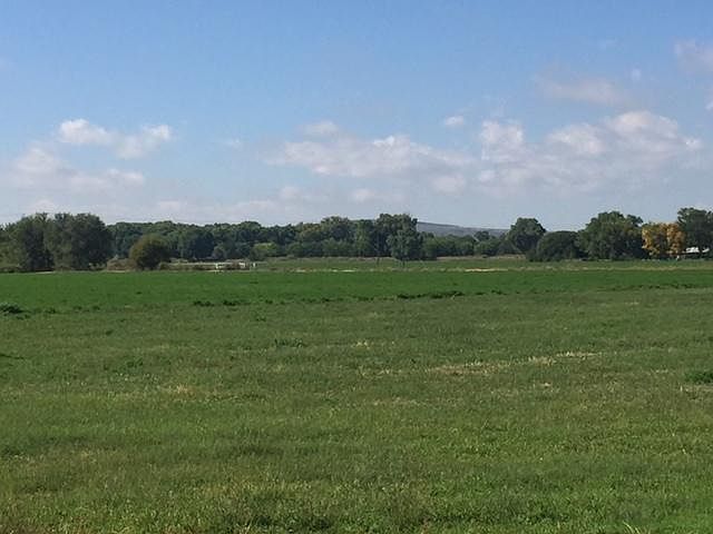 2nd image of Brahma Ct SW