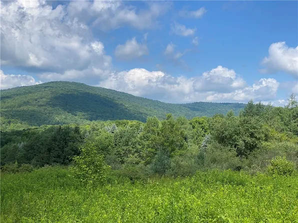 225 Maple Ln #21, Margaretville, NY 12455