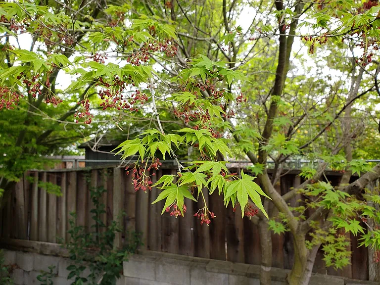 2722 Cormorant Ct — Photo 28