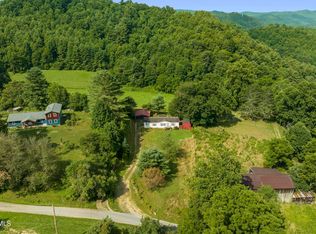 166 Millard Cable Rd, Butler, TN 37640