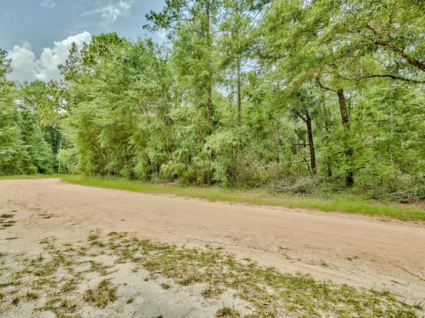 LOT 14 Blue Creek Rd, Ponce De Leon, FL 32455