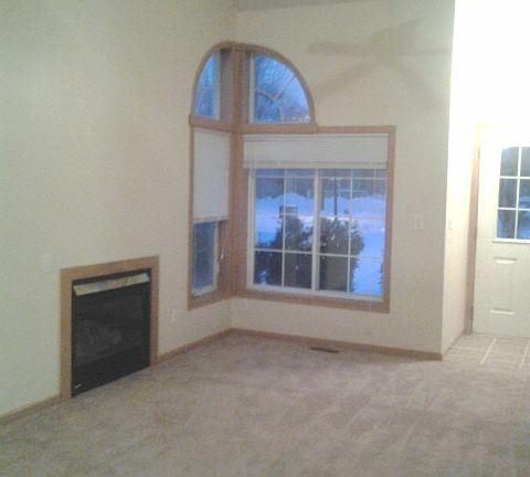 Living area with fireplace