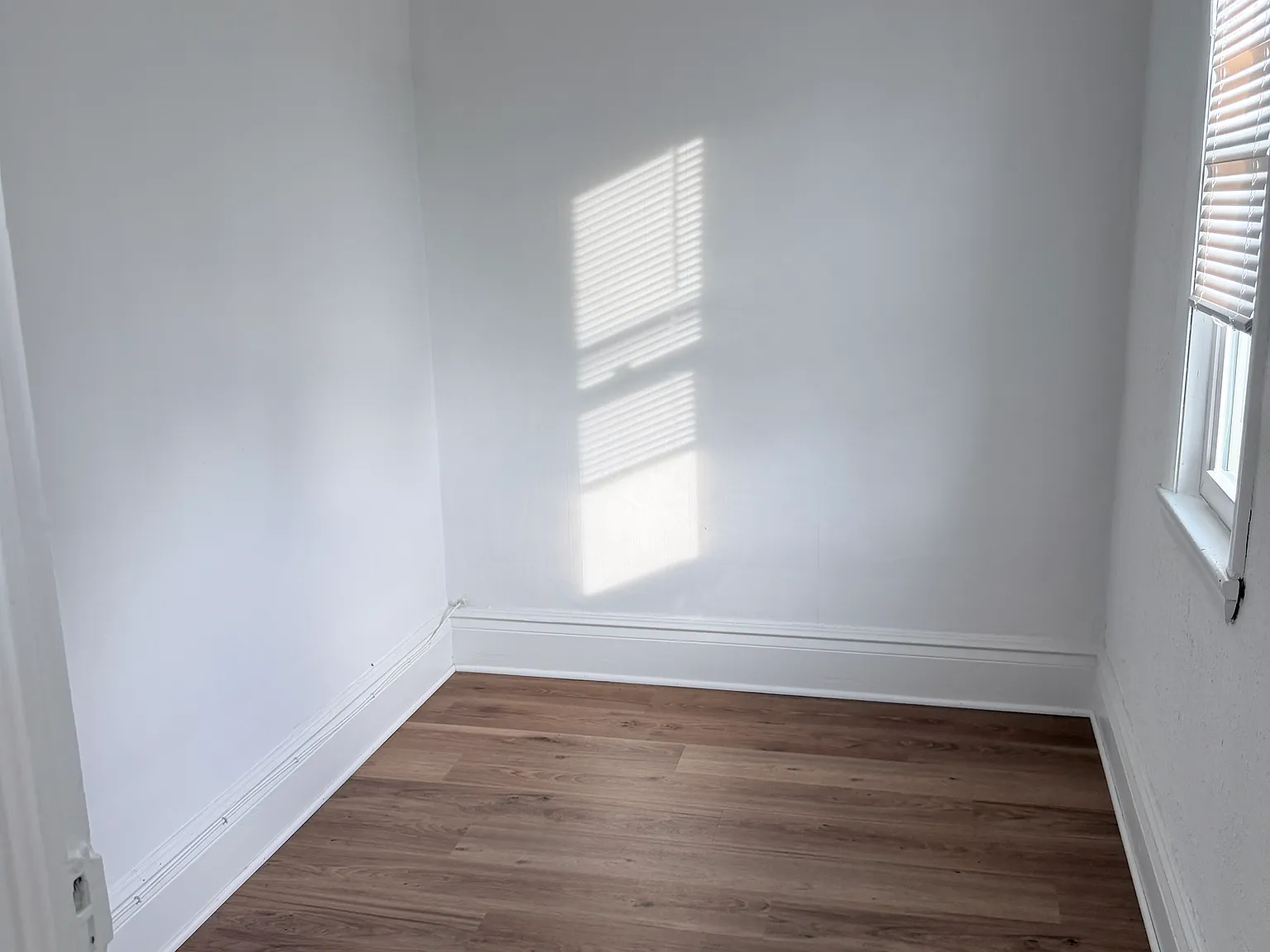 145 Peter St — Photo 2