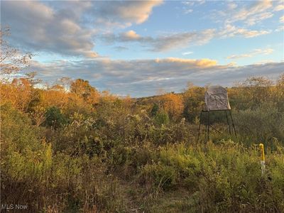 6142 Steubenville Rd SE, Amsterdam, OH, 43903