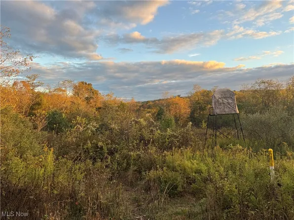 6142 Steubenville Rd SE, Amsterdam, OH 43903