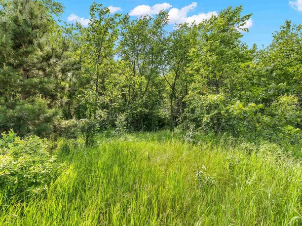 Lot 18 CHOKECHERRY LANE, Amherst, WI 54406