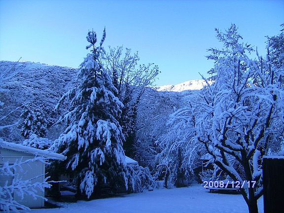 Front yard in Winter