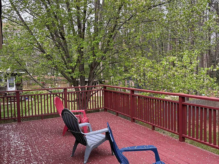564 Field Cliff Dr — Photo 14