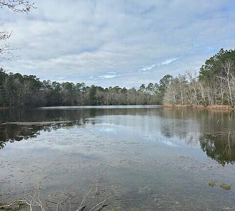 4th image of State Highway 53 Lot 9