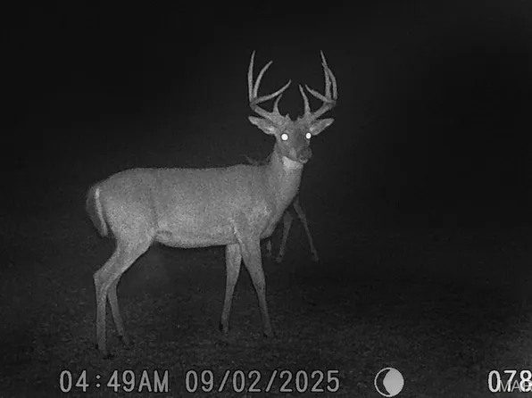 2160 State Route Y, Harrisburg, MO 65256