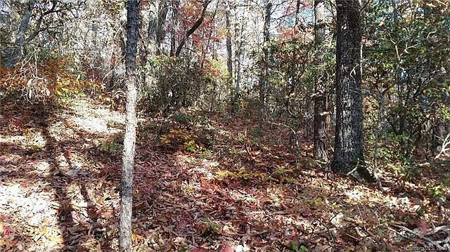 2nd image of 222 Allen Mountain Dr