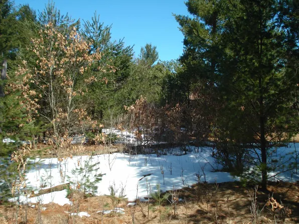 County Rd W, Wild Rose, WI 54984