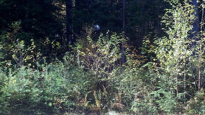 1st image of 15 Donnas Way