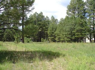 1272 Happy Hunting Way, Heber, AZ 85931