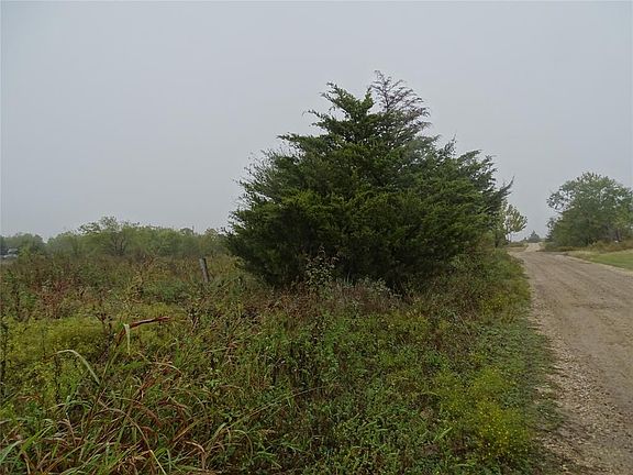 3rd image of Hoot Ln