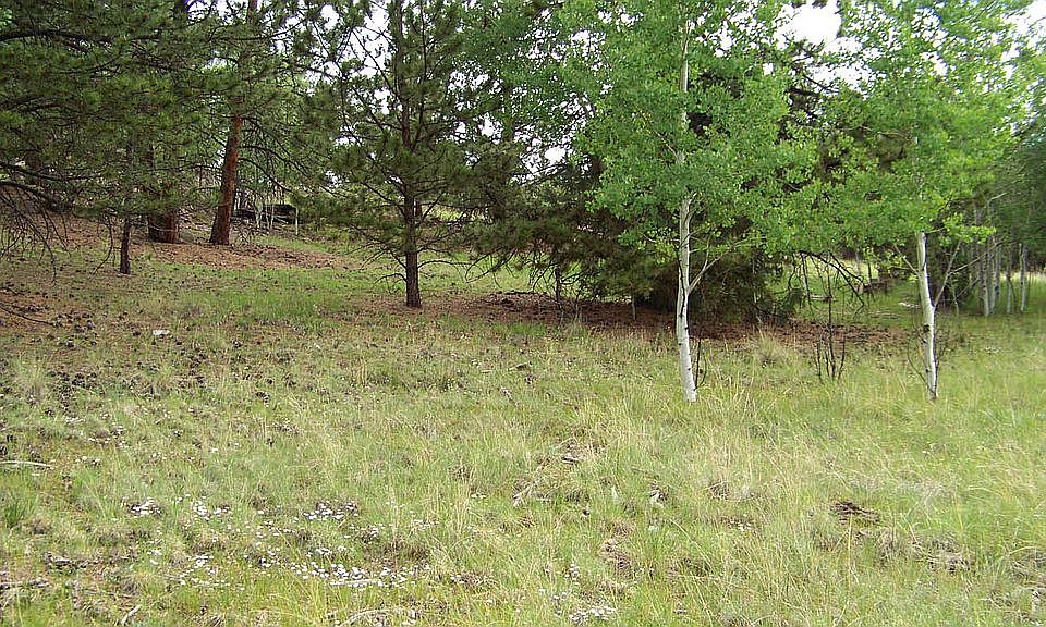 1st image of 53 Plateau Cir