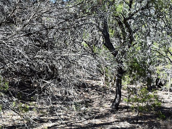 3rd image of 111 E Hondo Oaks Dr