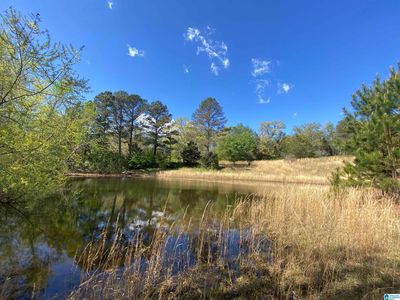 2590 Levine Rd, Odenville, AL, 35120