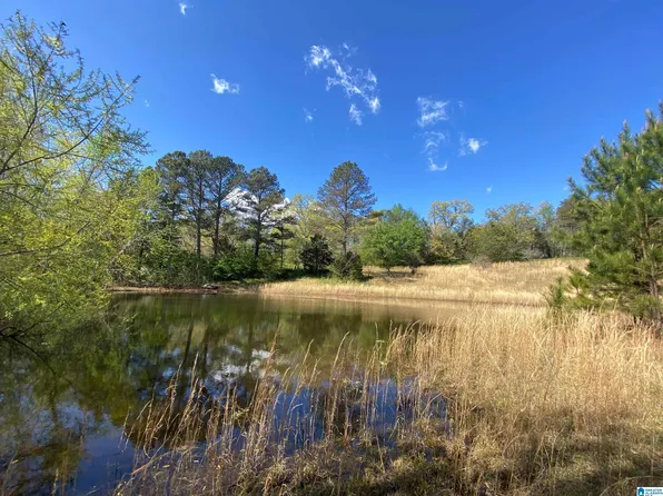 2590 Levine Rd, Odenville, AL 35120