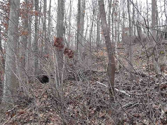 2nd image of 25 Highway 25 70