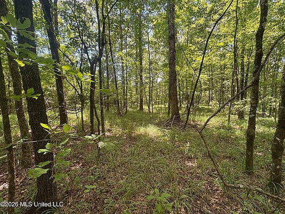 5th image of Firetower Rd