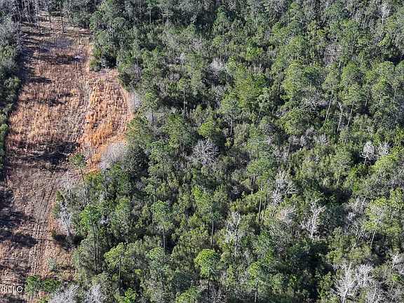 2nd image of Cable Bridge Rd
