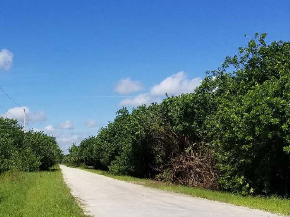 2nd image of 6753 Airboat Ave