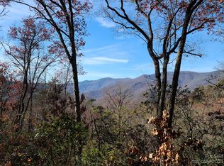 0 Blue Vista Rd LOT 2, Canton, NC 28716