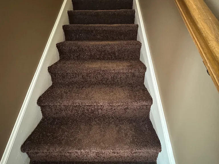 3 Kim Ct #2 — Photo 10