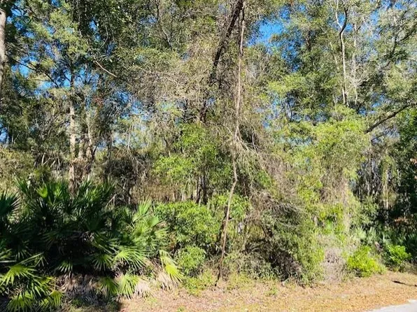  NW 115th St, Chiefland, FL 32626