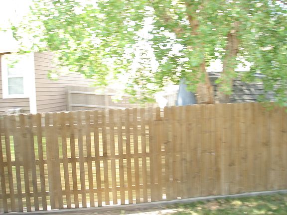 Backyard fence 