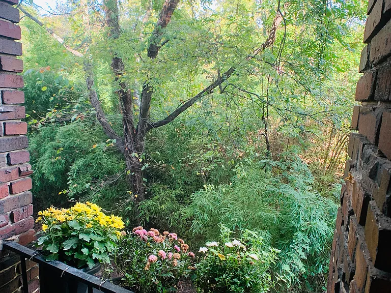 Backdoor stairwell view