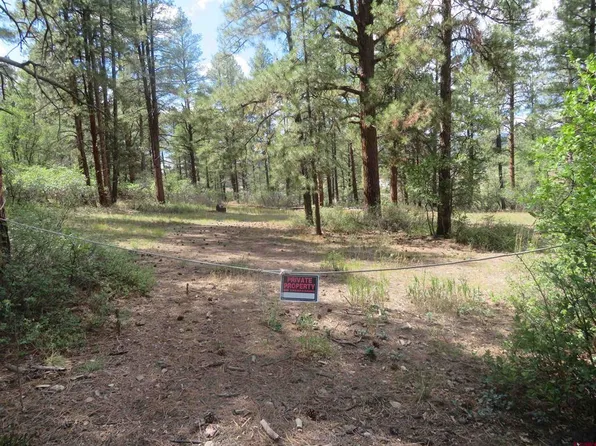 706 Hilltop Drive, Pagosa Springs, CO 81147