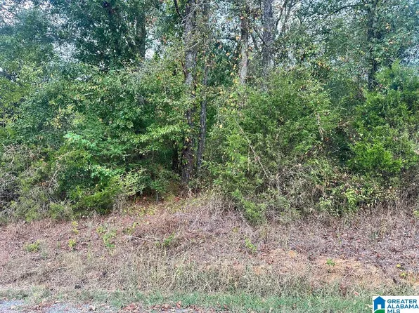 0 Liberty Rd #1, Blountsville, AL 35031