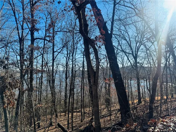 10532 Red Bluff Rd, Garfield, AR 72732