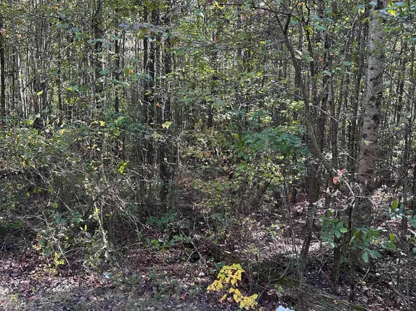 State Highway 68 W, Leesburg, AL 35983