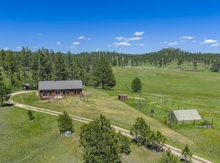 25458 Lassiter Ct, Custer, SD 57730