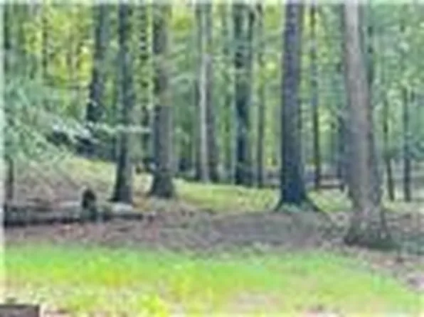 597 Westminster Dr, Athens, GA 30607