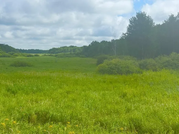 0 370th Ave, Hillman, MN 56338