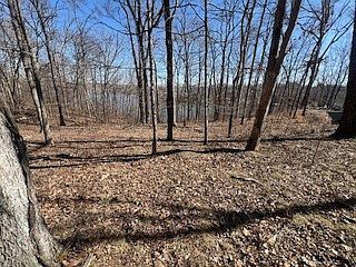 2nd image of 244 Parrish Ridge Rd