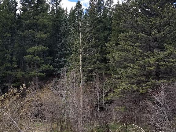 4th image of Lot 11, Witter Gulch Road