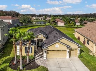 3113 Stonegate Falls Dr, Land O Lakes, FL 34638