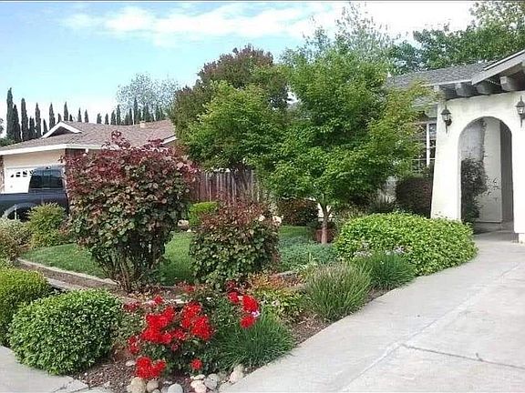 Landscaped front yard maintained by gardener.