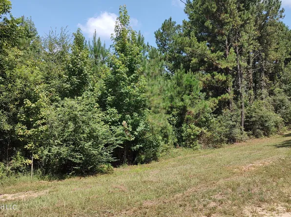 Worth Nall Rd, Lumberton, MS 39455