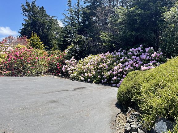 The parking area