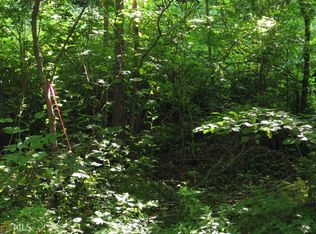 0 Galloway Rd, Blue Ridge, GA 30513